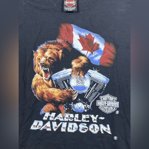 Harley Davidson Vintage Made in Canada Steve Drane 1996/2001 Insane Print Shirt - Picture 5 of 11